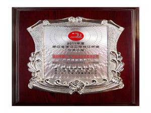 2011年度省建設(shè)工程錢江杯獎——籌建的愛山廣場（步行街區(qū)）1#、3#標段